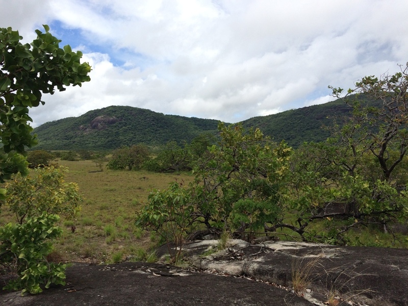 Visão sul - south view