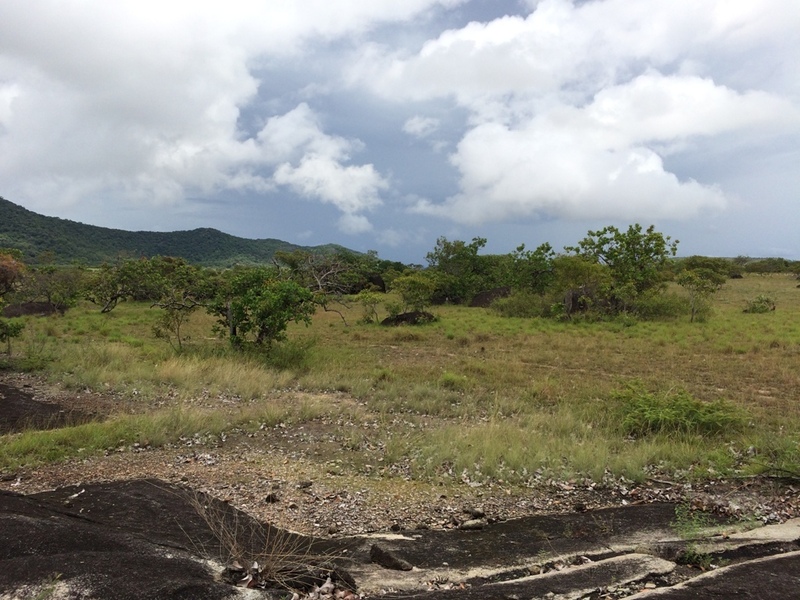 Visão oeste - west view