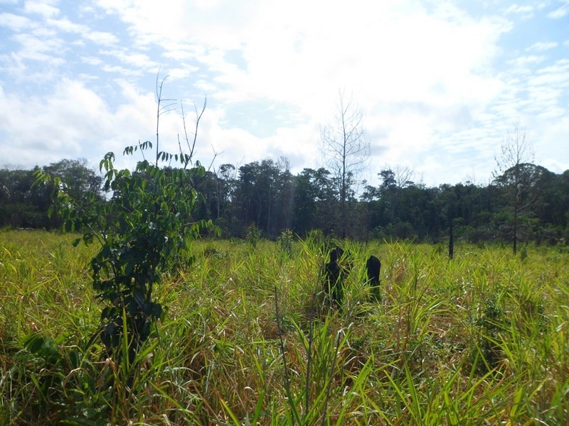 Visão geral - general view