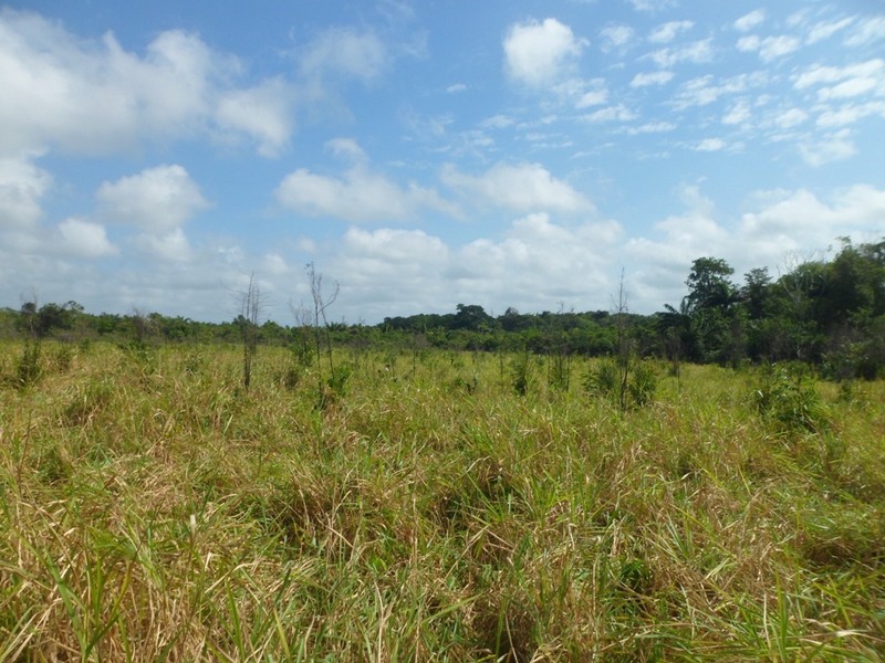 Visão norte - north view