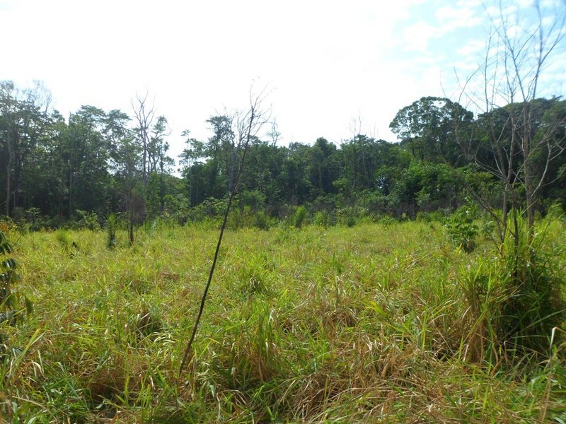 Visão leste - east view