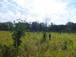 #1: Visão geral - general view