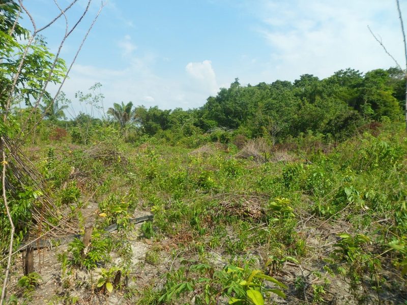 Visão leste - east view