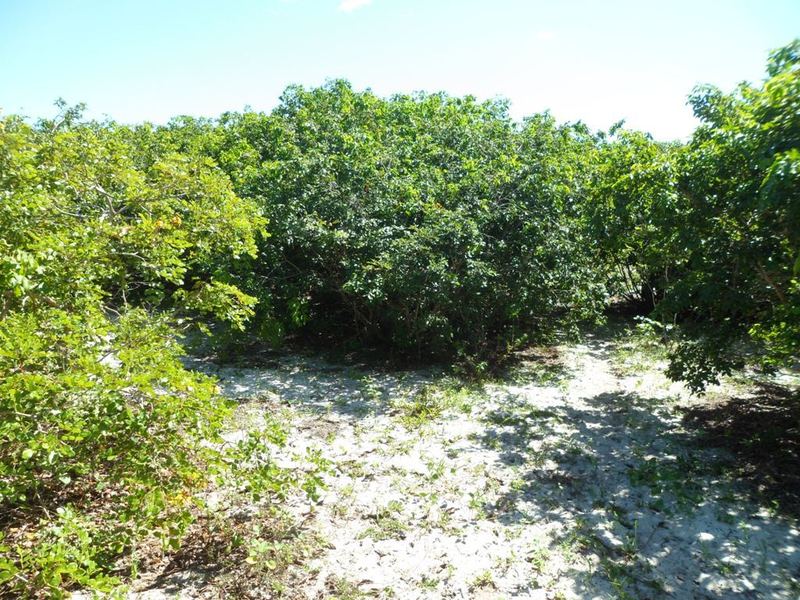 Visão geral - general view