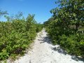 #8: Caminhada parte 1: estrada de areia - walking part 1: sand road