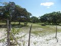 #9: Caminhada parte 2: área aberta - walking part 2: open area