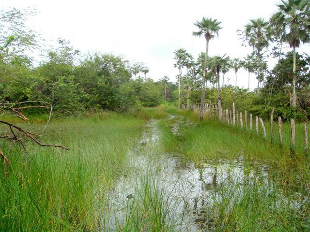 Flooded trail with 1m deep water