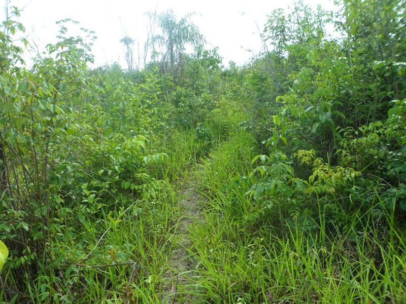 Caminhada até a confluência, parte 3 - hiking to the confluence, part 3