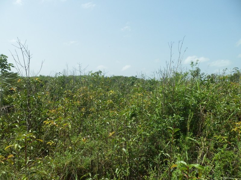 Visão sul - south view