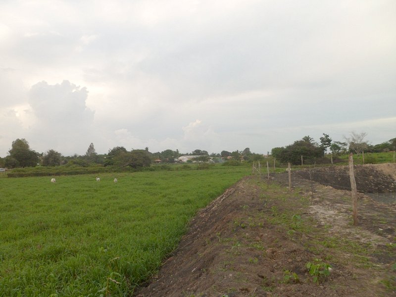 Visão geral - general view