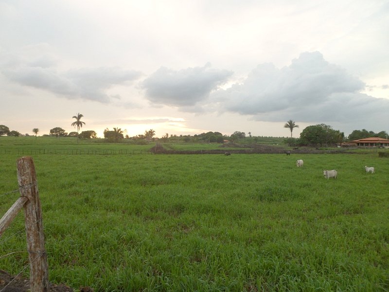 Visão oeste - west view