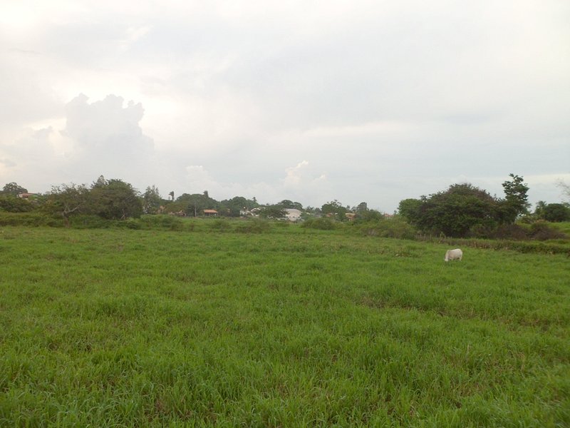 Visão norte e confluência 52 metros adiante - north view and confluence 52 meters ahead