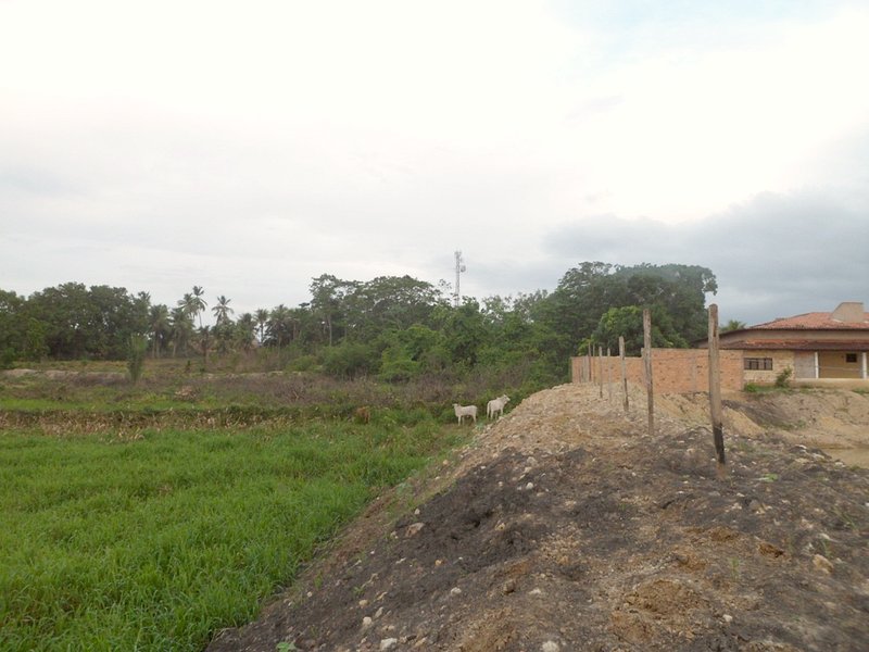 Visão leste - east view