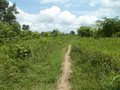 #7: A trilha passa a 60 metros da confluência - track passes 60 meters to the confluence