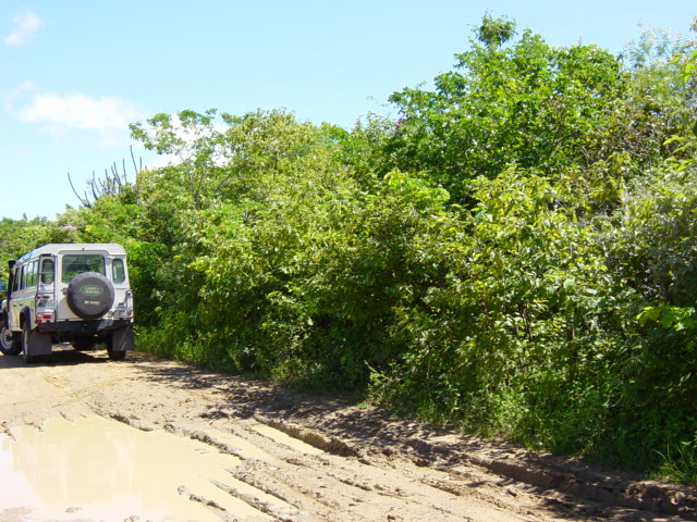 estrada ao lado do local exato