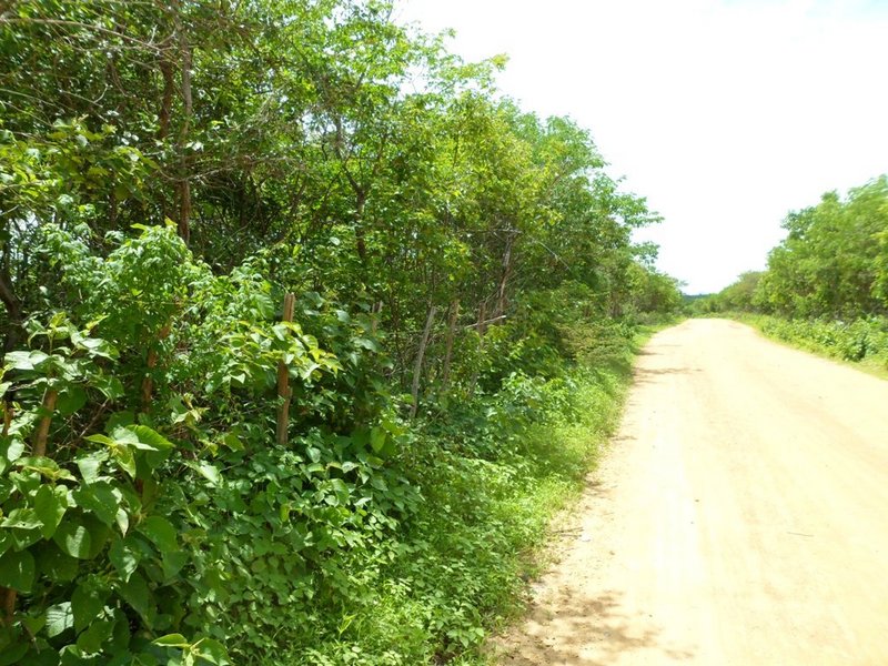 Visão leste - east view