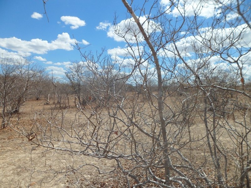 Visão oeste - west view