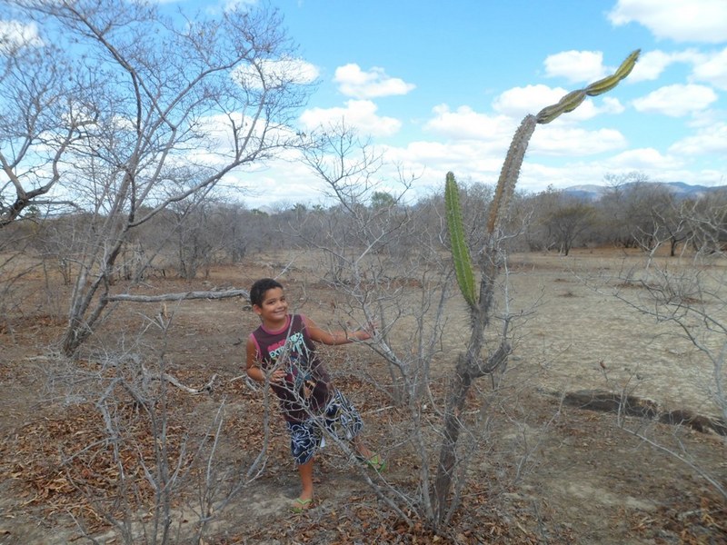 Meu filho - my son