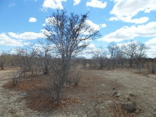 #1: Visão geral - general view