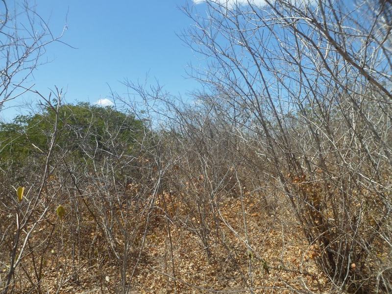 Visão leste - east view