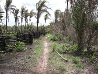 #1: Vista a 100m do ponto. A view at 100 mt from CP