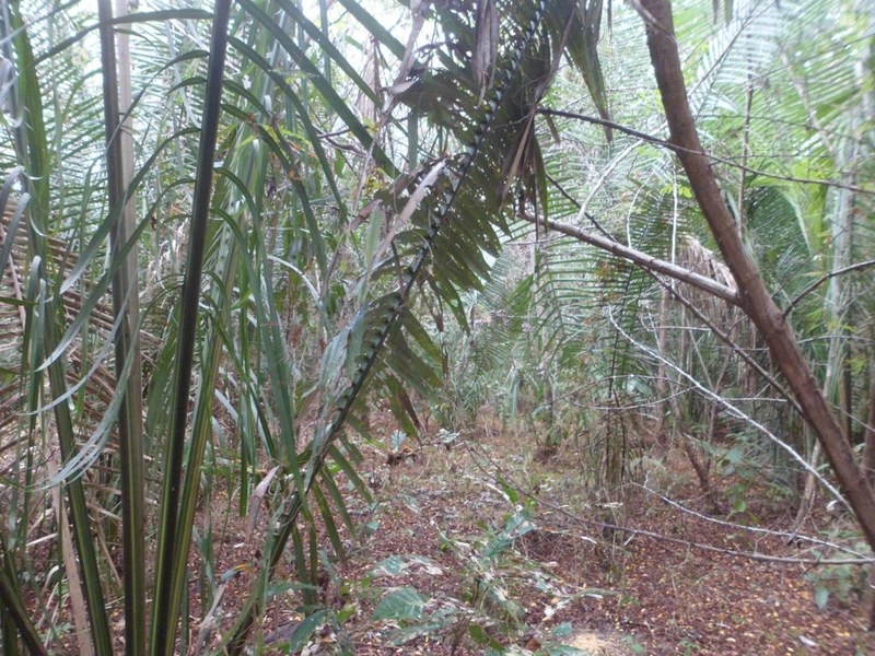 Visão leste - east view