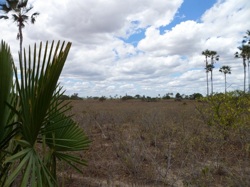 Visão leste - east view