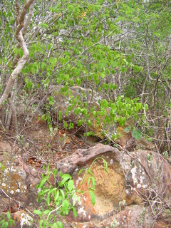 #1: Vista da confluência. General view