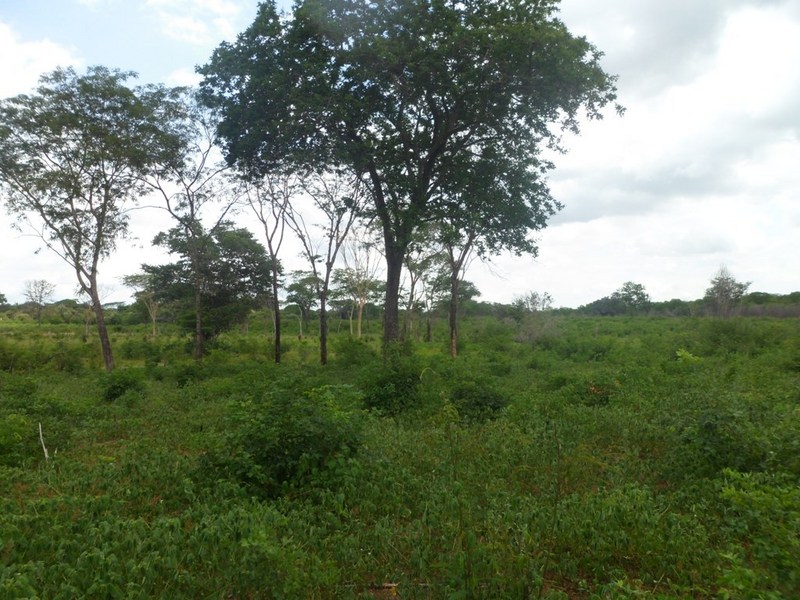 Visão oeste - west view