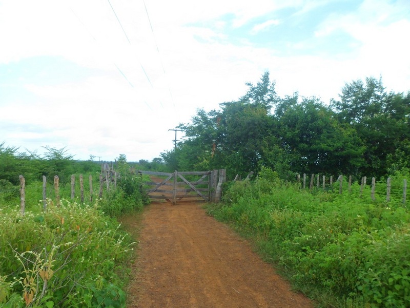 Porteira no caminho - gate in the way