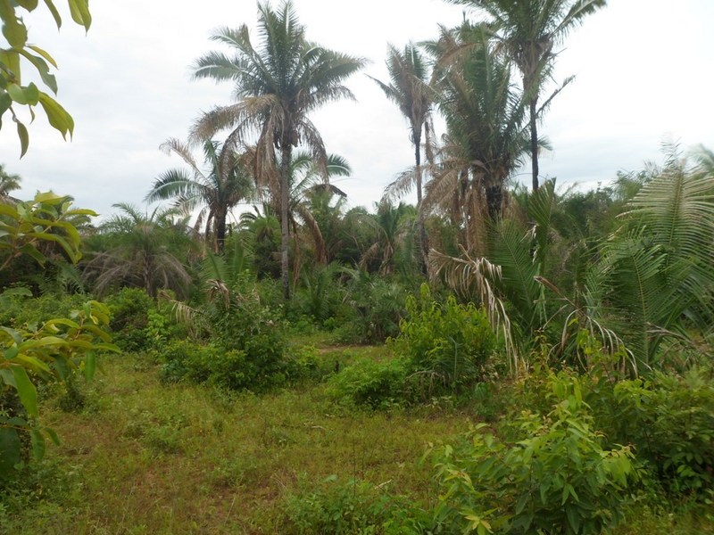 Visão geral - general view