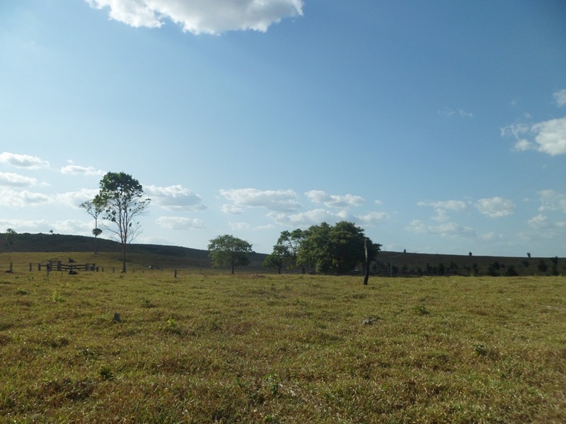 Visão norte - north view