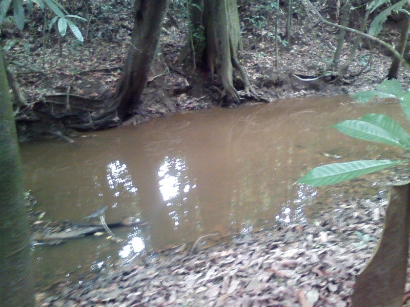 Depois de atravessar o riacho, são mais 1.870 metros pela mata fechada - after crossing the stream, it's more 1,870 meters in the dense jungle