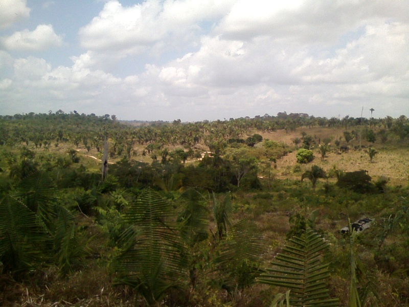 Visão sul - south view