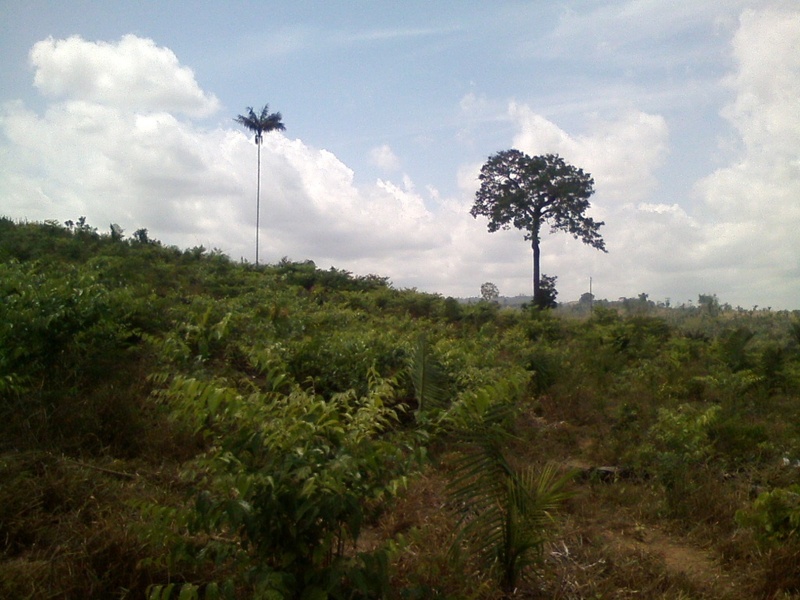 Visão leste - east view