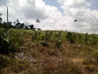 #1: Visão geral - general view