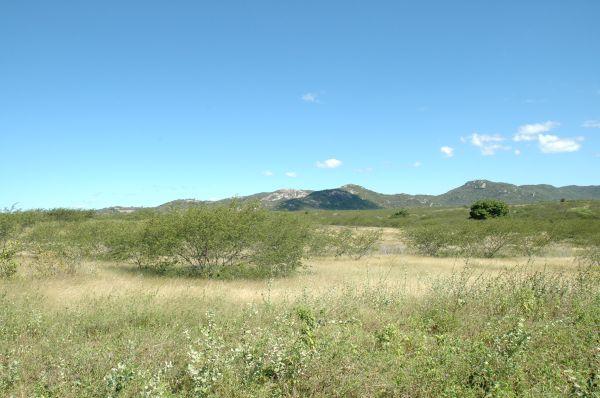 General view of the 6S 36W confluence