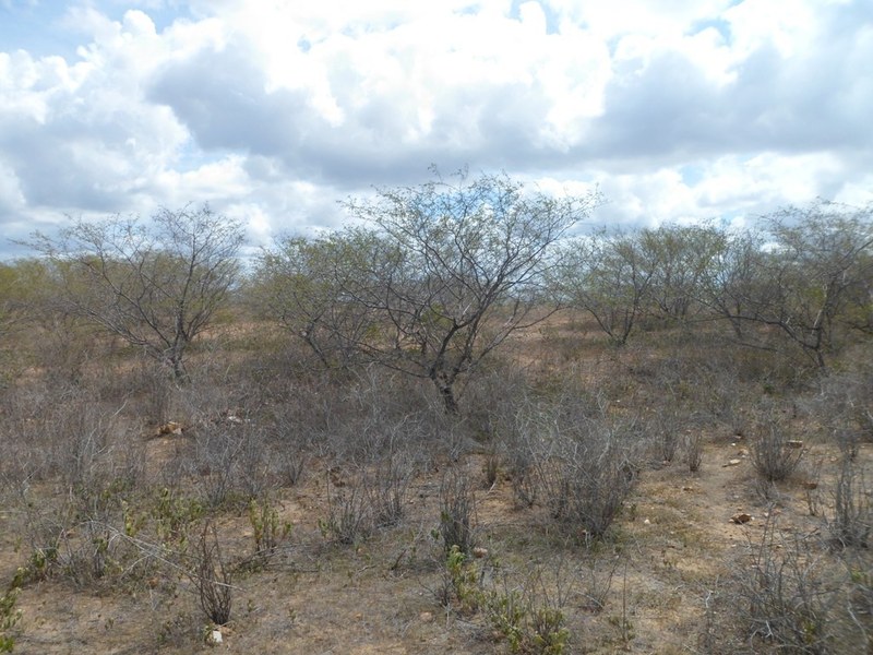 Visão geral - general view