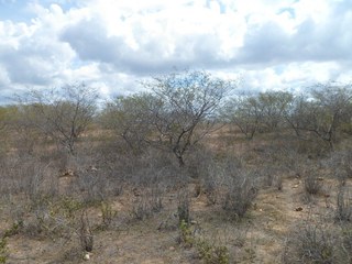 #1: Visão geral - general view