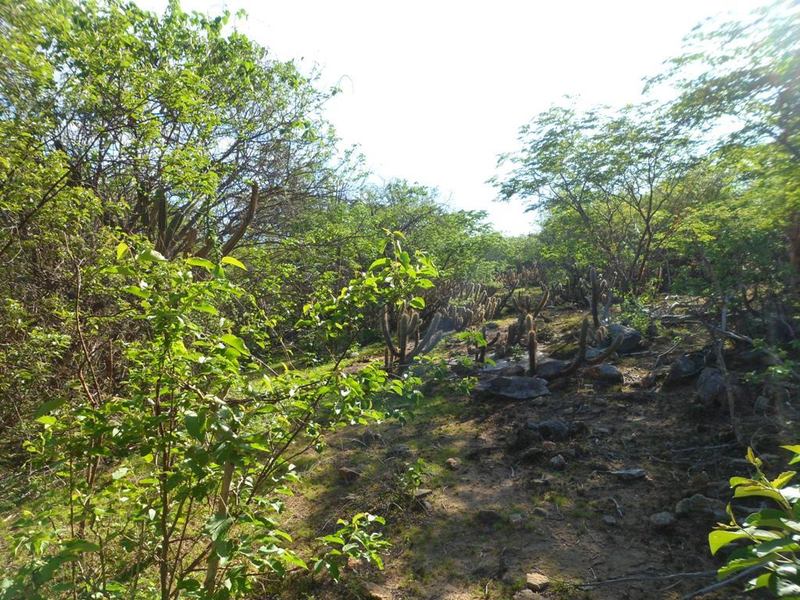 Visão geral - general view