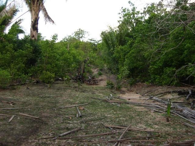 Região da confluência (Area nearby the confluence)