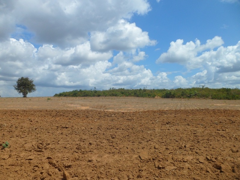 Visão oeste - west view