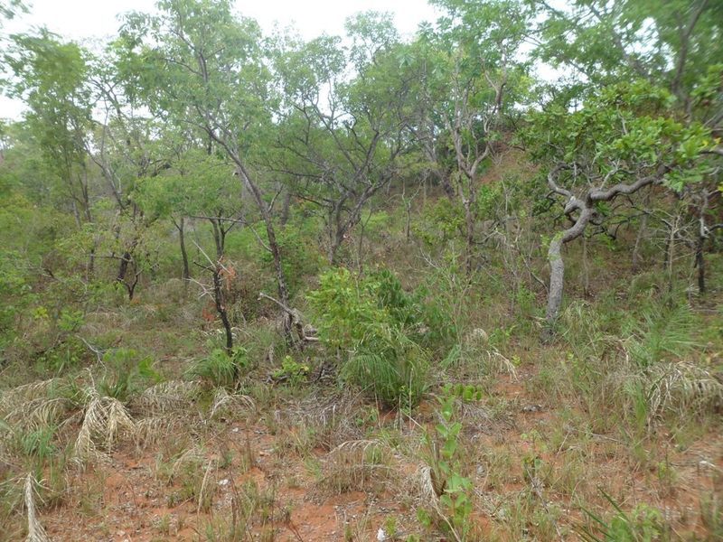 Visão geral - general view