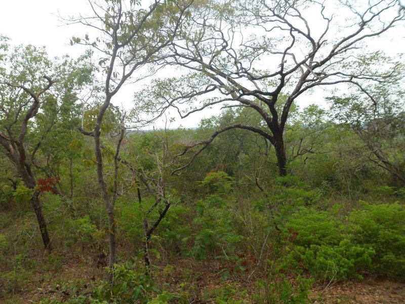 Visão sul - south view