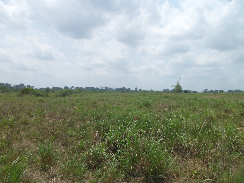 Visão sul - south view