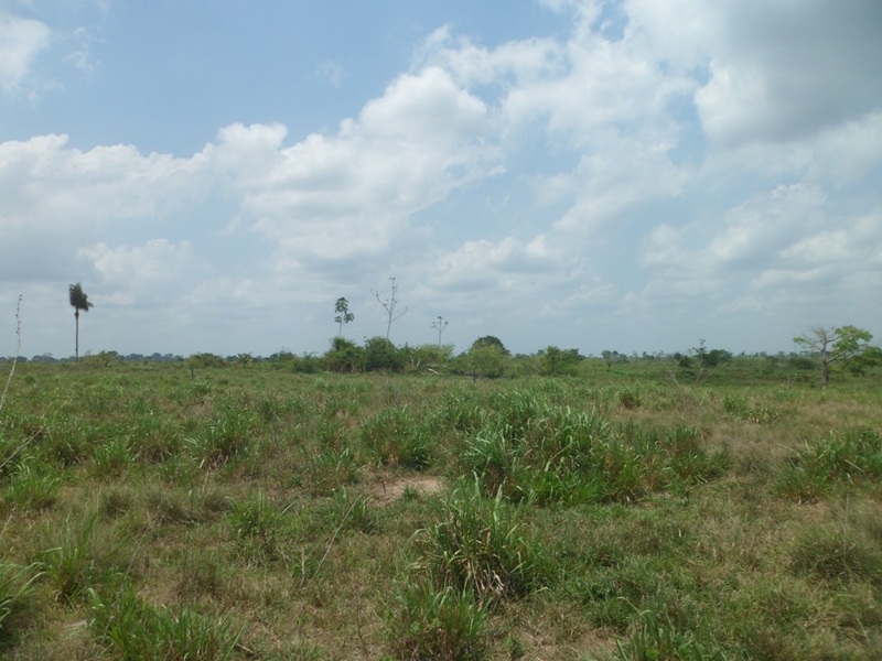 Visão oeste - west view