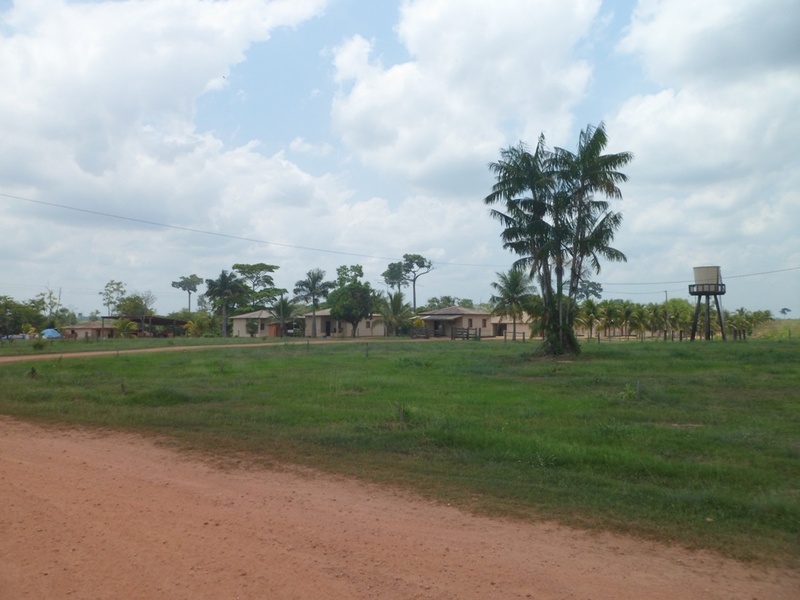 A sede da fazenda parece uma vila - the farm homestead looks like a village