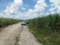 #10: Paramos o carro a 485 metros do ponto exato - car stopped 485 meters close to the exact point