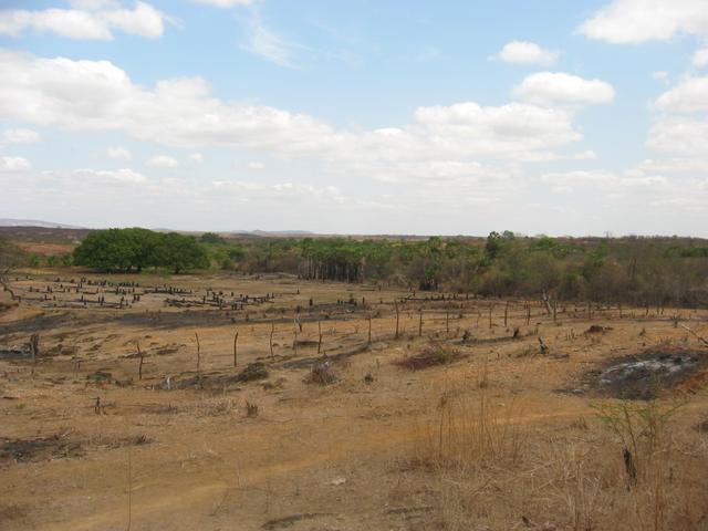 East View | Visão Leste