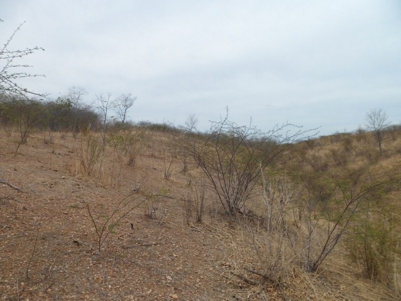 Visão oeste - west view